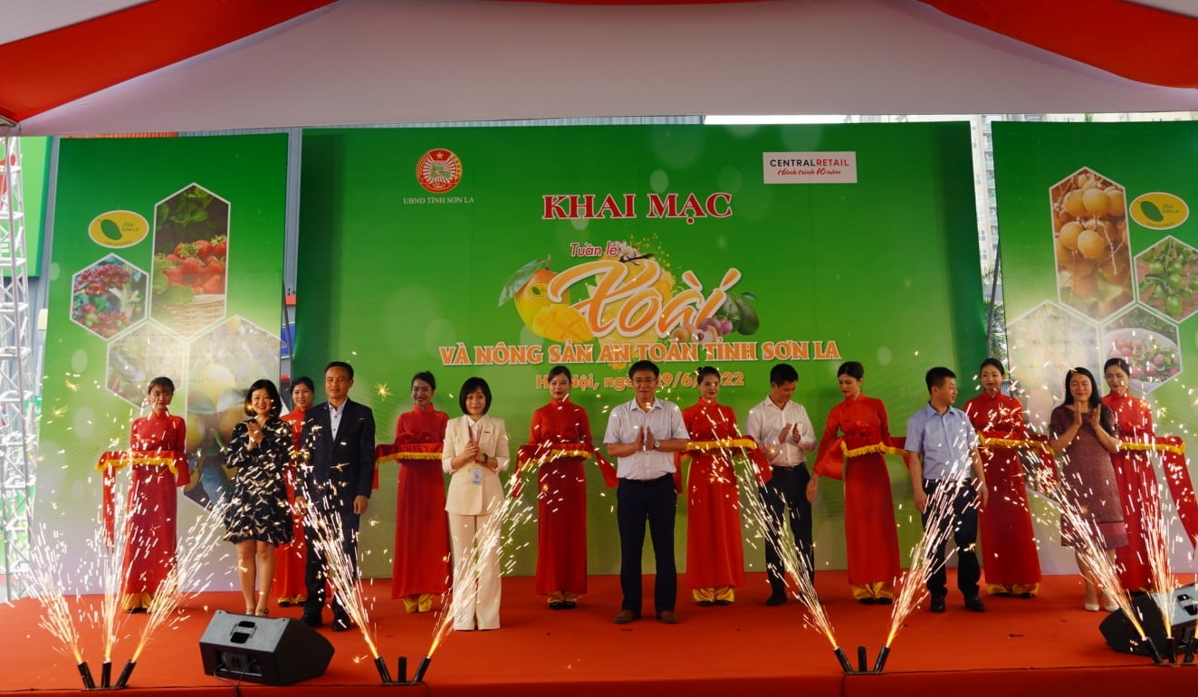 Central Retail phối hợp tổ chức Tuần lễ Xoài và nông sản an toàn tỉnh Sơn La