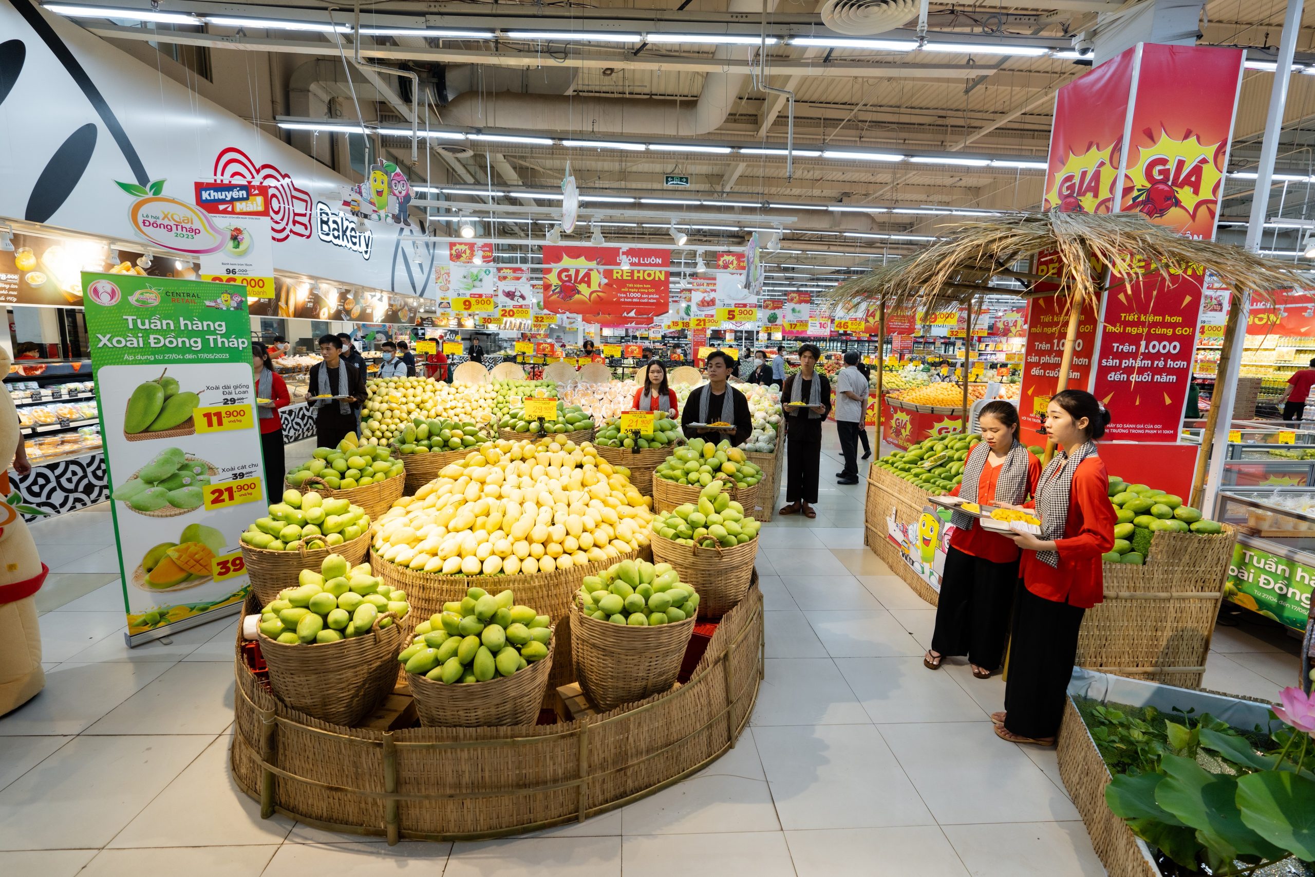“Dong Thap Mango Week” at our retail chain stores of GO!, Big C, and Tops Market